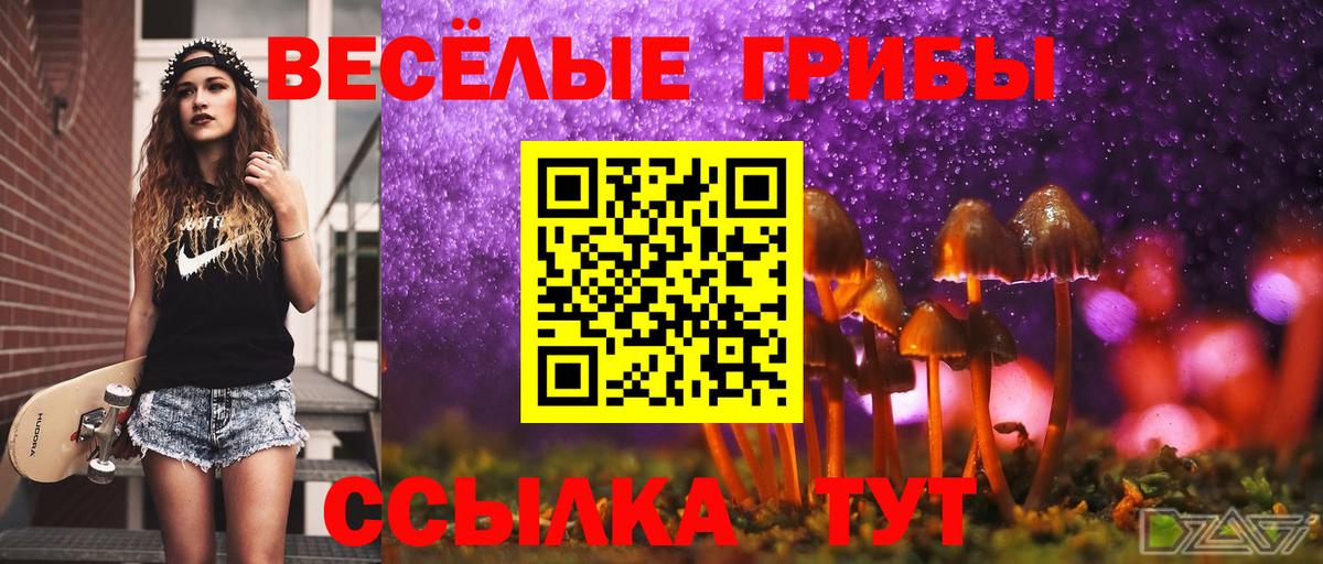 Камышлов  Галлюциногенные грибы Psilocybe  Вход с VPN 