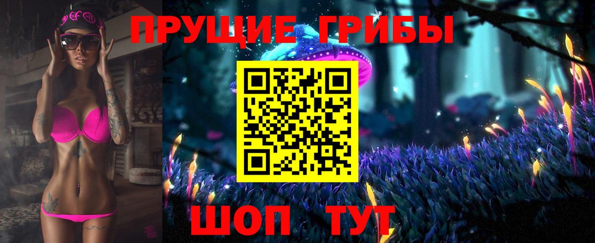 Галлюциногенные грибы Psilocybe Камышлов